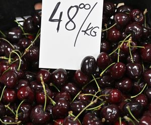  Ceny nowalijek na warszawskich bazarach szokują. Byliśmy i sprawdziliśmy ile trzeba zapłacić