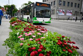 Dzień bez samochodu w Białymstoku. Przejazdy autobusami i rowerami sieci BiKeR są bezpłatne!