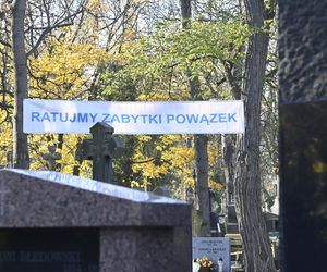 Gwiazdy kwestują na Powązkach