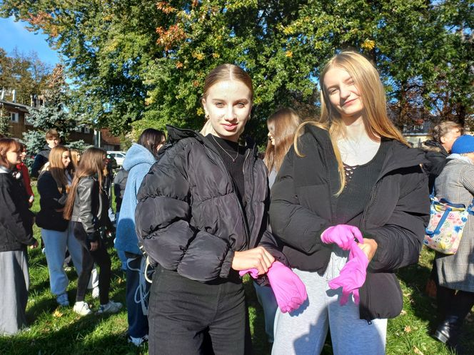 2 tysiące żonkili posadzono na Polu Nadziei w Lesznie. To symbol walki z rakiem