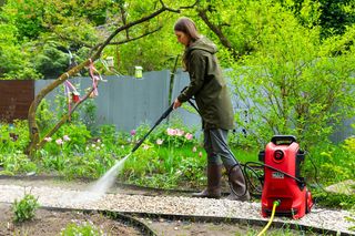 Maja z ‪@rodoswlesie‬, #MuratorOgroduje