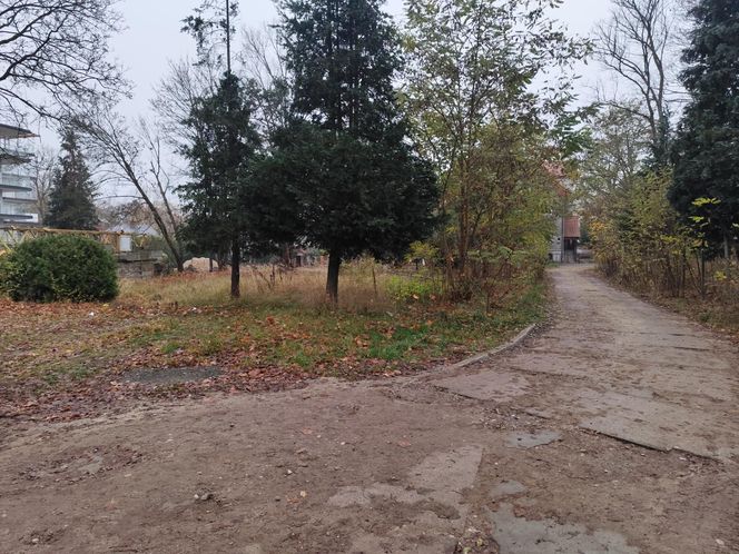 Bójka w centrum miasta. W ruch miał pójść nóż! 23-latek zmarł w szpitalu