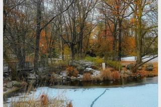 Wyjątkowa zimowa aura w Parku Wilsona w Poznaniu
