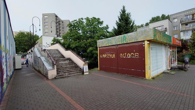 Powalone drzewo po burzy