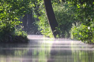 5 rezerwatów przyrody ma powstać na Opolszczyźnie
