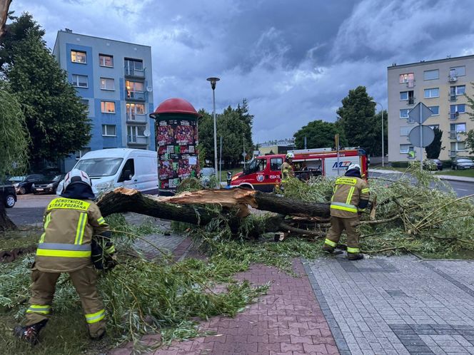 Powalone drzewa, zalania, wstrzymany ruch tramwajów: dramatyczny bilans orkanu nad Śląskiem