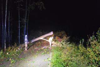 Burze i wichury na Warmii i Mazurach. Strażacy nie nadążają!