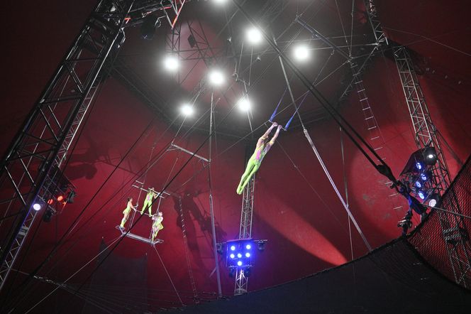 Cyrk Zalewski. Oto artyści 25. Międzynarodowego Festiwalu Sztuki Cyrkowej w Warszawie