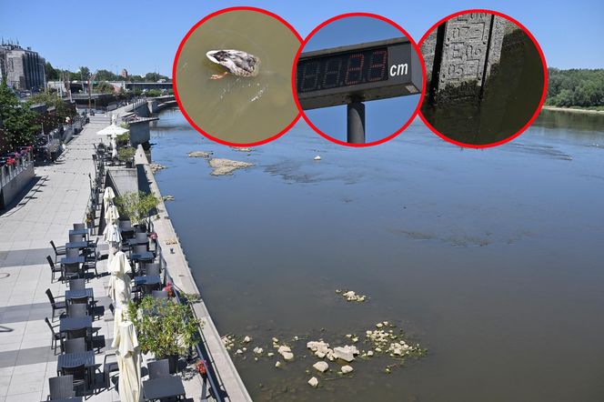 Niski stan wody w Wiśle