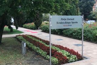 Poznaliśmy nazwiska kolejnych sportowców, którzy będą mieli swoją gwiazdę w Kraśniku