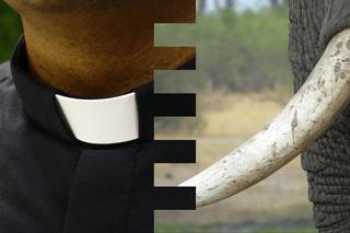 Dwaj księża zatrzymani przez policję! W Szczytnie próbowali sprzedać kość słoniową