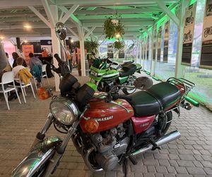 Festiwal Green Days Kawasaki