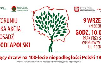 Sto tysięcy drzew na 100-lecie niepodległości Polski [AUDIO]