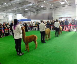 Wystawa Zoologiczna ZOOPARK w Lublinie przyciągnęła tłumy rodzin z dziećmi