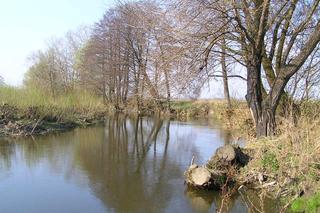 Najdłuższe rzeki w Polsce. Niektóre miejsca mogą zadziwić [GALERIA]