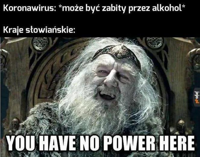 Koronawirus dotarł do Polski. Jest pierwszy przypadek. Zobacz najlepsze memy