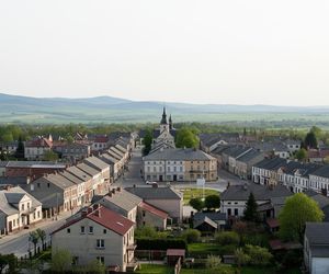 Opatowiec najmniejszym mi.jpg