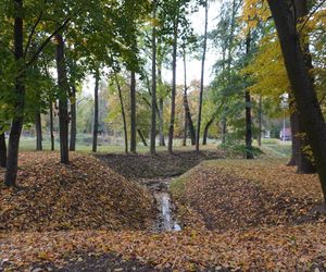 Park Lubomirskich w Białymstoku jesienią 