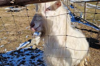 Ferie w Bieszczadach.