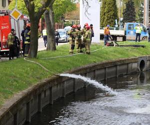 Powódź w Gdańsku? Strażacy mieli ręce pełne pracy