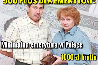 500PLUS DLA EMERYTOW_1