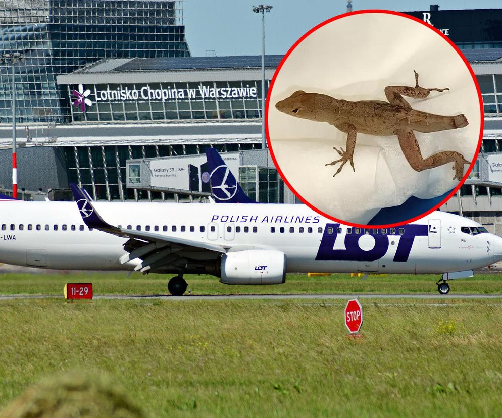 Sensacyjny gość odwiedził Warszawę. Przyleciał do Polski prosto z Kataru