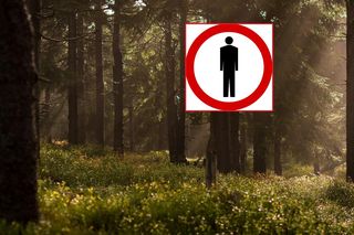 Ogłosili zakaz wstępu do lasów! Problem jest poważny