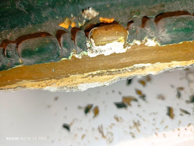 Renowacja kamienicy przy ul. Cybulskiego 19, Wrocław