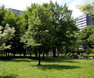 Gigantomania pomników i budowli w PRL-u