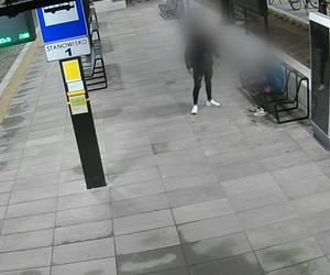 Niesforny wandal z Pszczyny