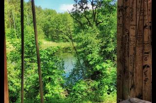 Dolina Cybiny i Kaczeńca z trzema stawami. Tutaj warto przyjść i odpocząć