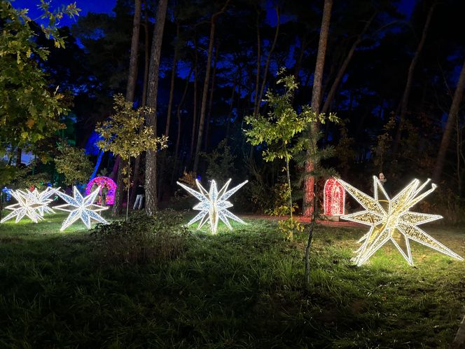 Otwarcie Lumina Parku w Poznaniu. Tegoroczne świecące miasteczko robi fenomenalne wrażenie!