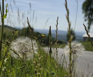 Wieża widokowa w Korczynie