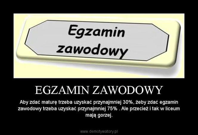 Egzamin zawodowy 2020: MEMY o egzaminie potwierdzającym kwalifikacje zawodowe [ZDJĘCIA]