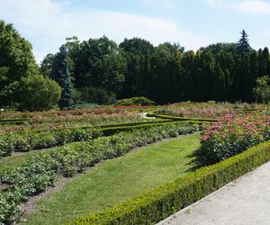 Ogród Botaniczny w Poznaniu 