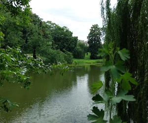 Lato w Parku miejskim w Zamościu 