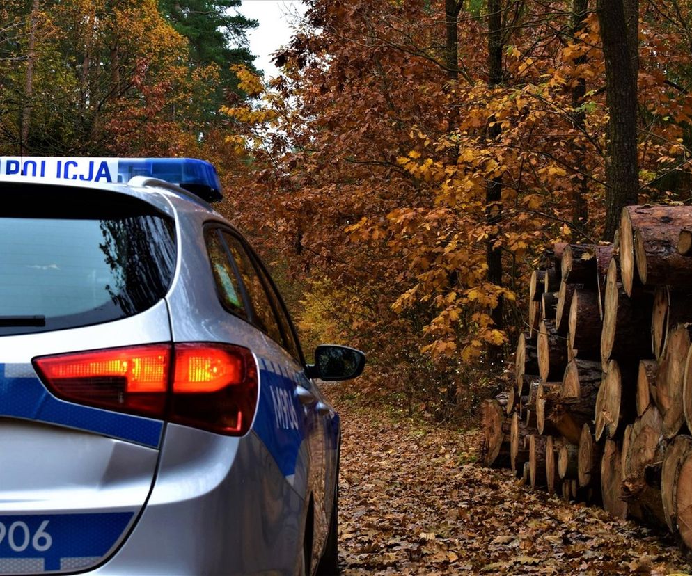 3-letni chłopiec nie żyje. Tragedia w Podlaskiem. Spadł na niego ścięty fragment drzewa