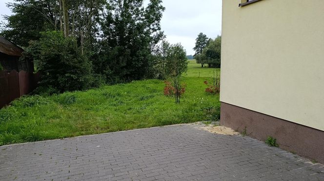 Zakatował Waldka pod sklepem za piwo