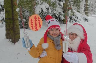 Lubelskiej tradycji stało się zadość. Choinka na LSM-ie już ubrana