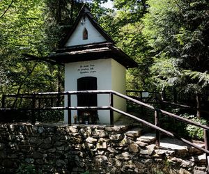 Szczawnica i Krościenko