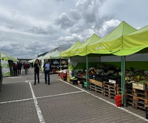 Ceny na bazarach w Białymstoku. Tyle zapłacimy za warzywa i owoce