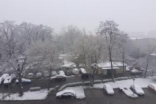 Śnieg we Wrocławiu