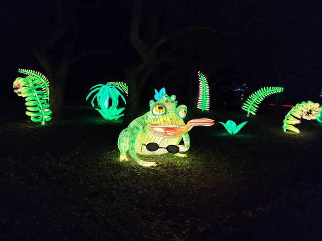 Park iluminacji w Lublinie