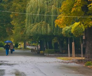 Zgniła jesień w Polsce. Ciągłe opady deszczu i ochłodzenie