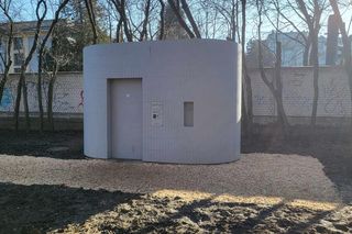 Trociny usypane w drodze do toalety automatycznej w parku