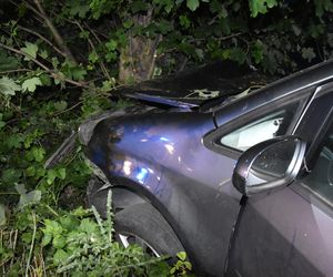 Pijany kierowca rozbił auto pod Gryżyną. Miał prawie 3 promile alkoholu