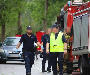 Samochód ciężarowy zderzył się z osobowym autem. Cztery osoby zginęły. Droga zablokowana