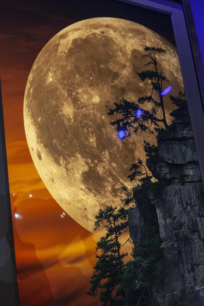 6 milionów za zdjęcie