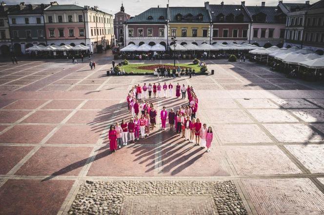 A zbadaj to Miasto Zamość