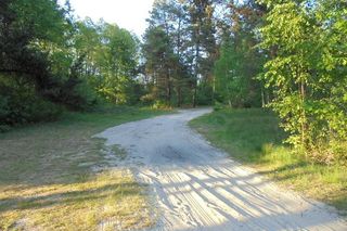 Kołacznia - najmniejszy rezerwat przyrody w Polsce 